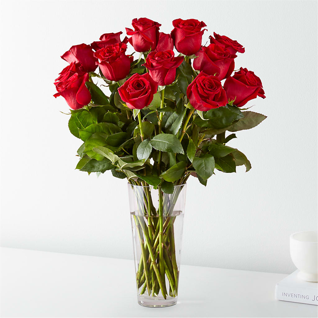 Long Stem Red Rose Bouquet – VACHA'S FOREST FLOWERS, Oak Forest IL
