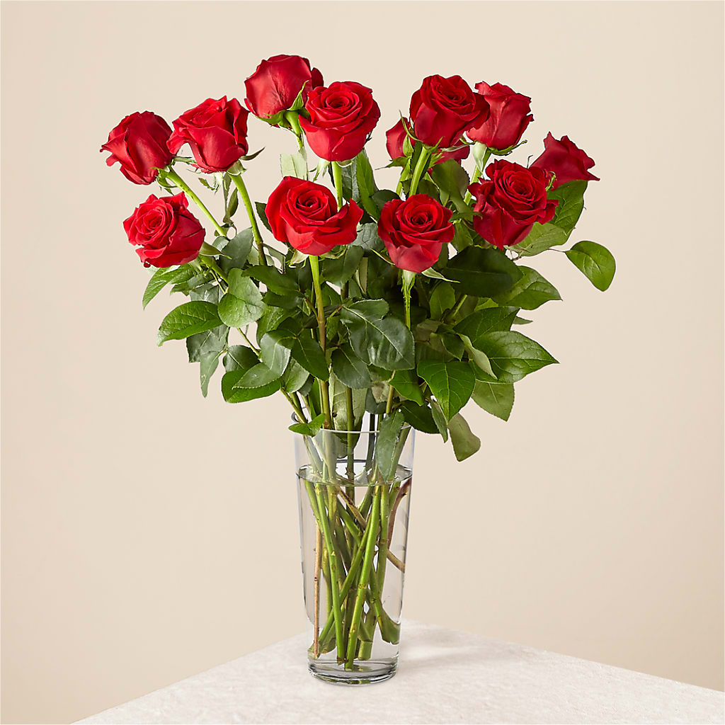 Long Stem Red Rose Bouquet – VACHA'S FOREST FLOWERS, Oak Forest IL