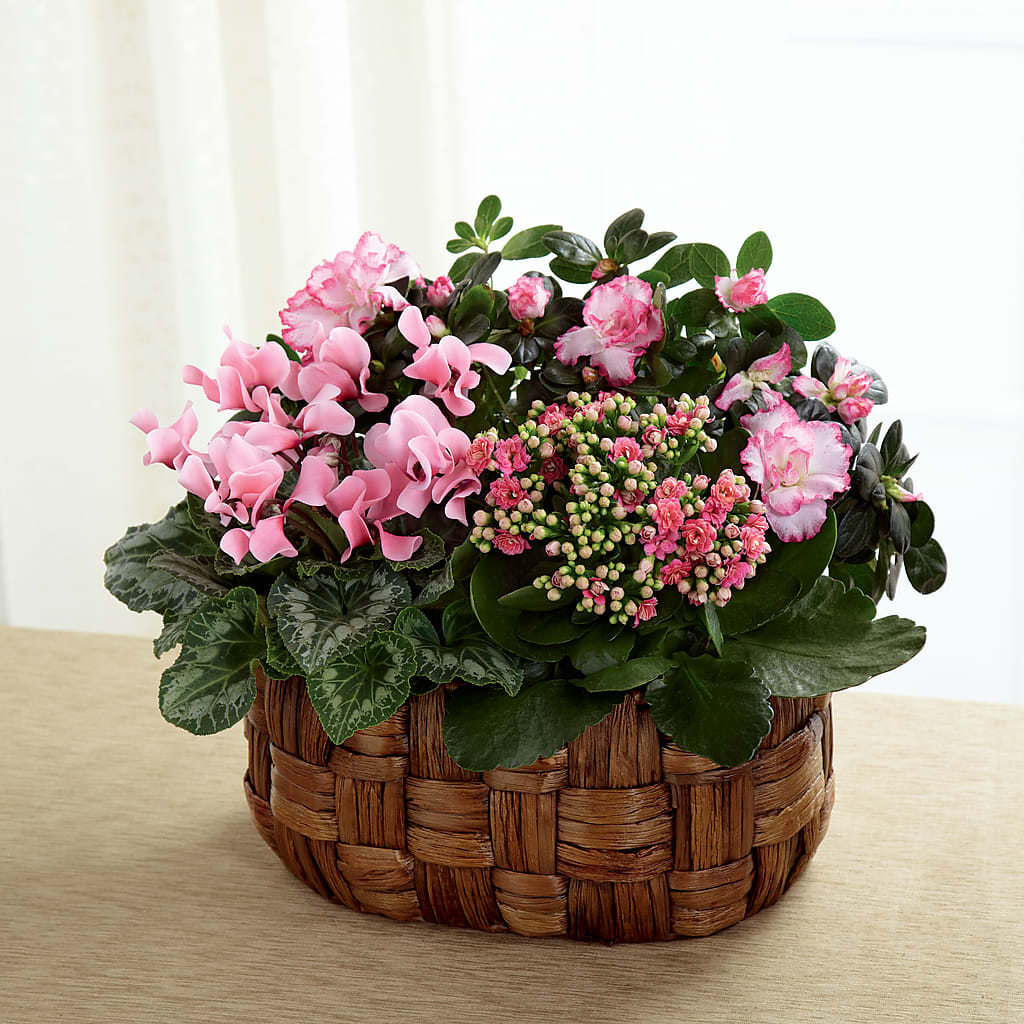 Pink Assortment – VACHA'S FOREST FLOWERS, Oak Forest IL