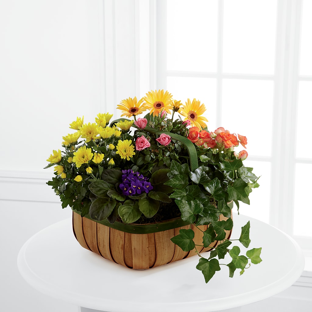Gentle Blossoms Basket – VACHA'S FOREST FLOWERS, Oak Forest IL