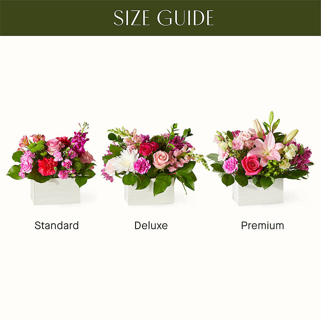 Sweetberry Box – A Florist Original – VACHA'S FOREST FLOWERS, Oak Forest IL