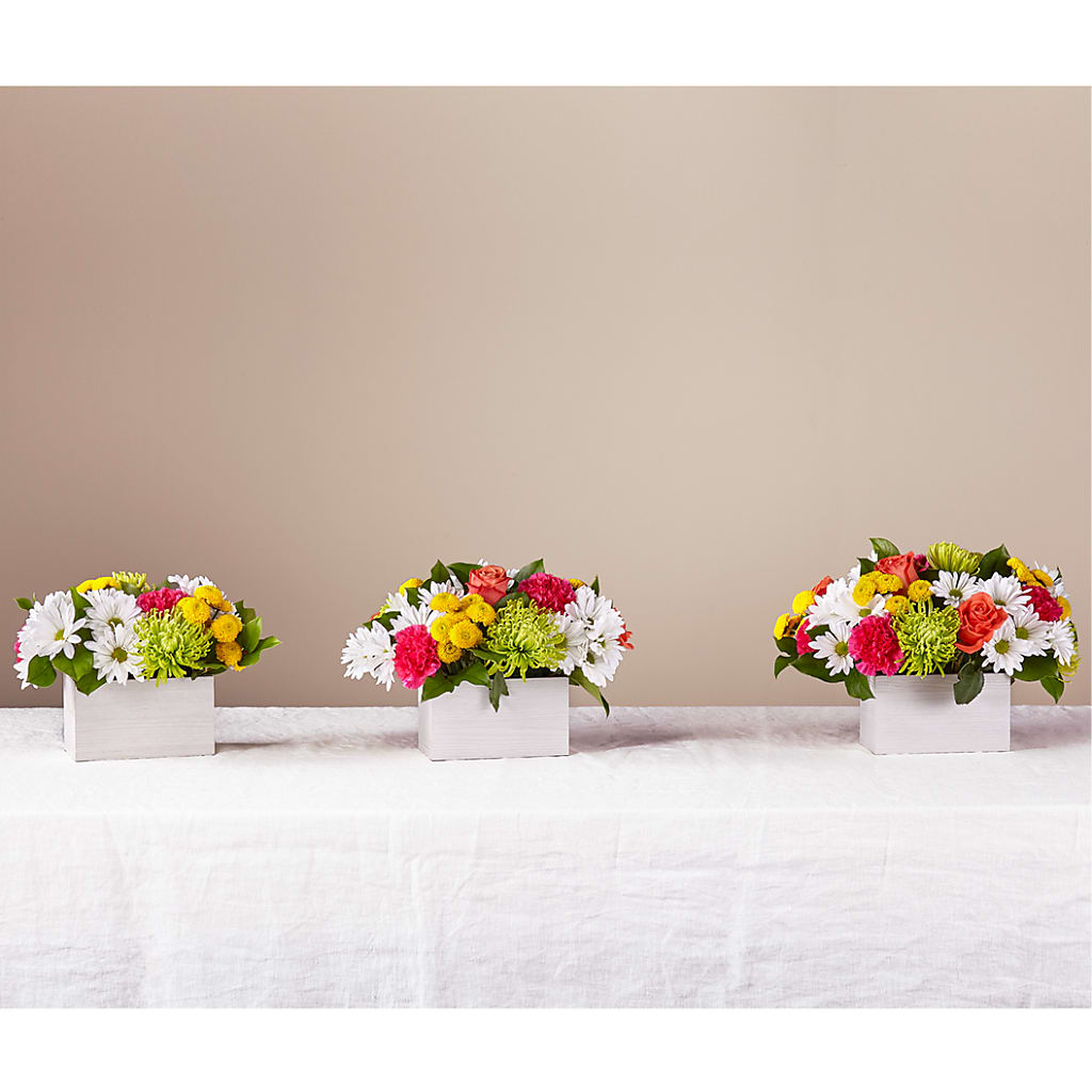 Sorbet Bouquet – VACHA'S FOREST FLOWERS, Oak Forest IL