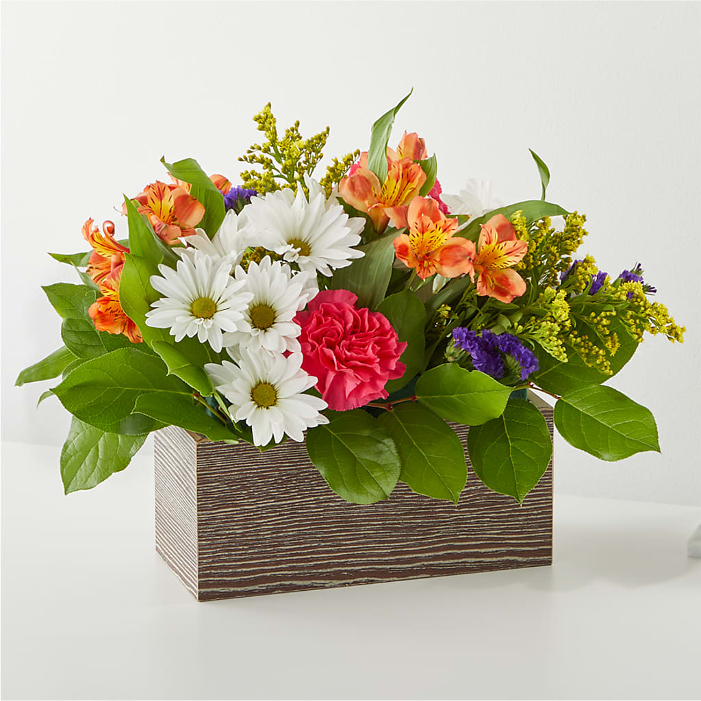 Oopsie Daisy Box Bouquet – VACHA'S FOREST FLOWERS, Oak Forest IL