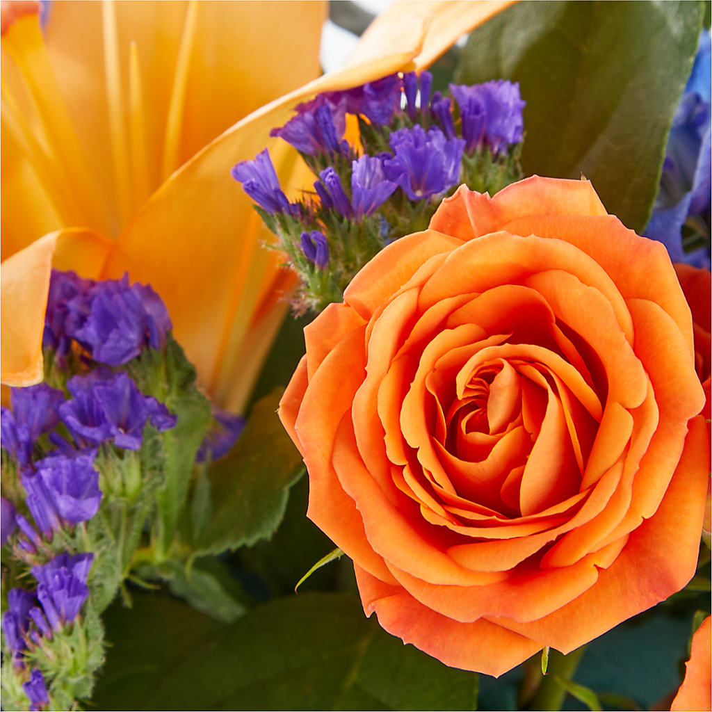 Radiant Citrus Box Bouquet – VACHA'S FOREST FLOWERS, Oak Forest IL