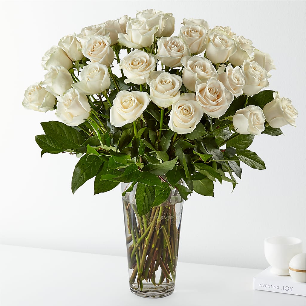 Long Stem White Rose Bouquet – VACHA'S FOREST FLOWERS, Oak Forest IL