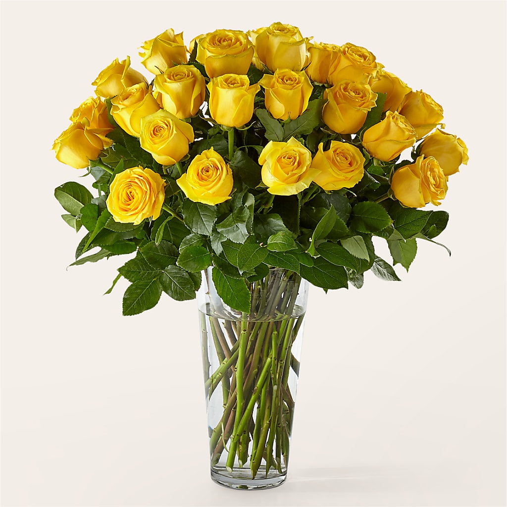 Long Stem Yellow Rose Bouquet – VACHA'S FOREST FLOWERS, Oak Forest IL