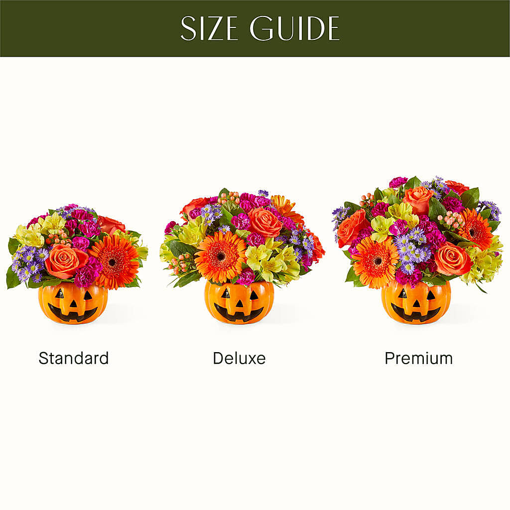 Tricks & Treats Pumpkin – VACHA'S FOREST FLOWERS, Oak Forest IL