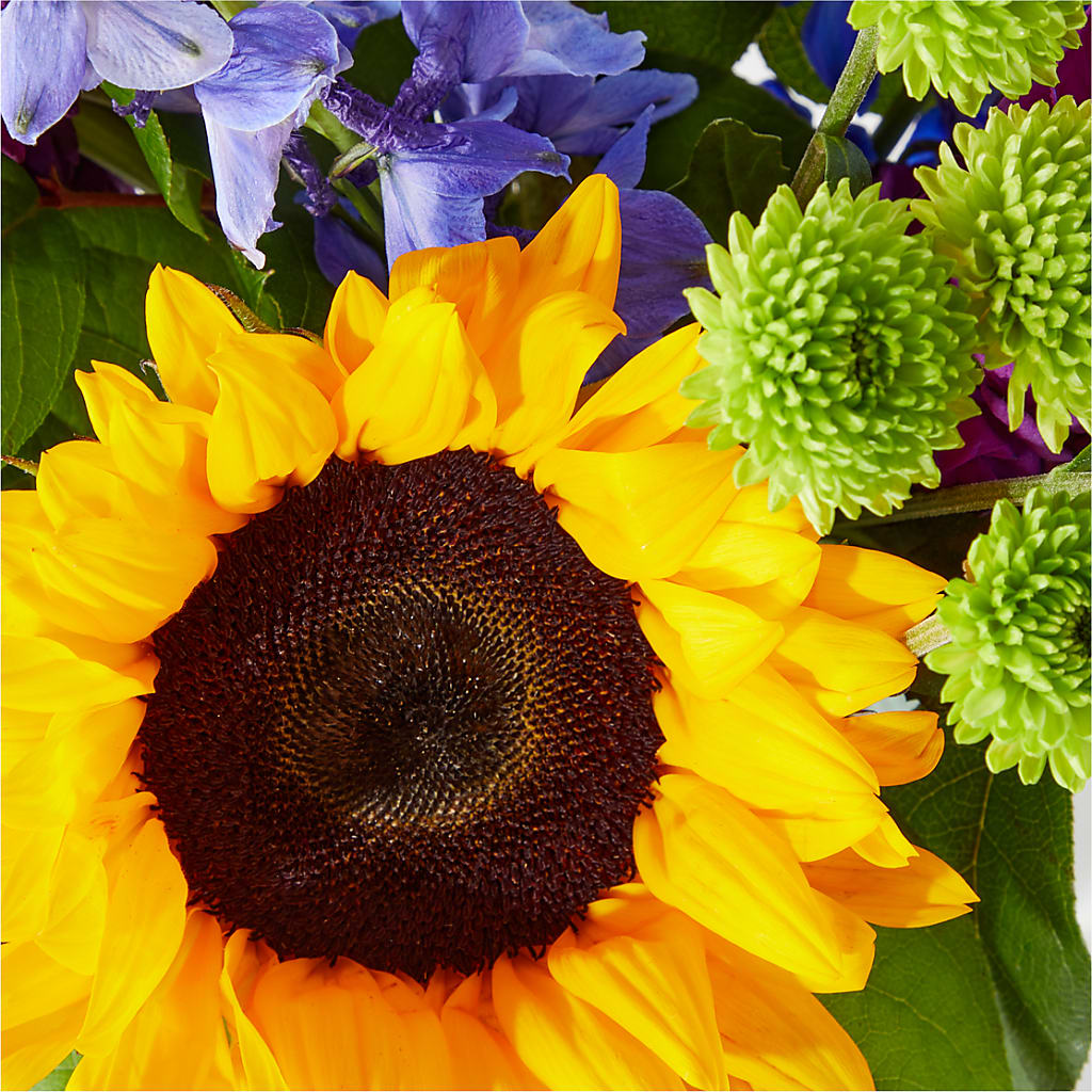 Catching Rays Bouquet – VACHA'S FOREST FLOWERS, Oak Forest IL