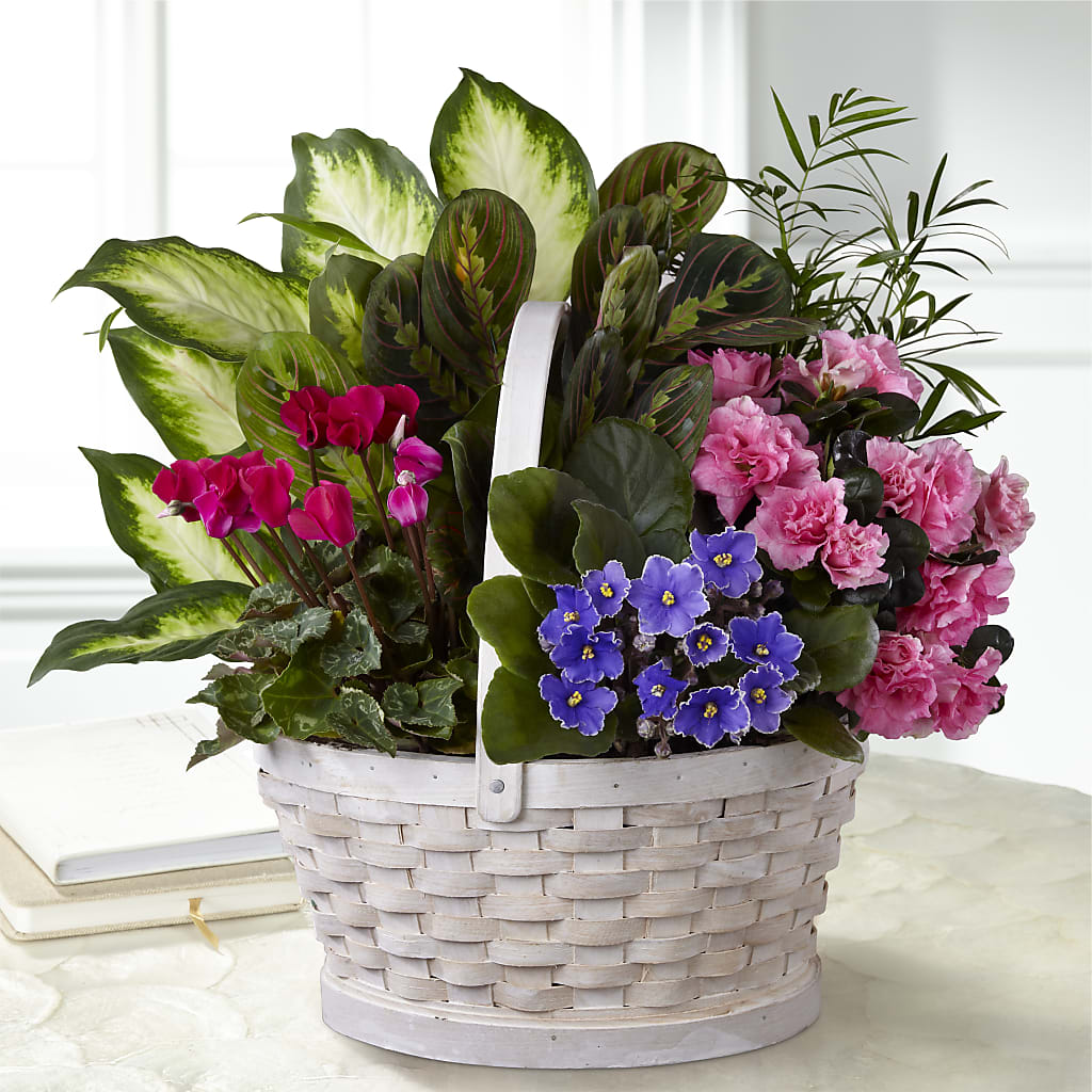 Peaceful Garden Planter – VACHA'S FOREST FLOWERS, Oak Forest IL