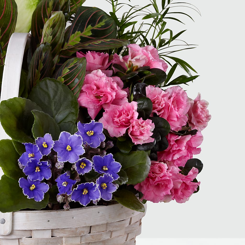 Peaceful Garden Planter – VACHA'S FOREST FLOWERS, Oak Forest IL