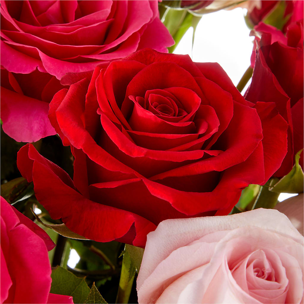 Love Notes Rose Bouquet – VACHA'S FOREST FLOWERS, Oak Forest IL