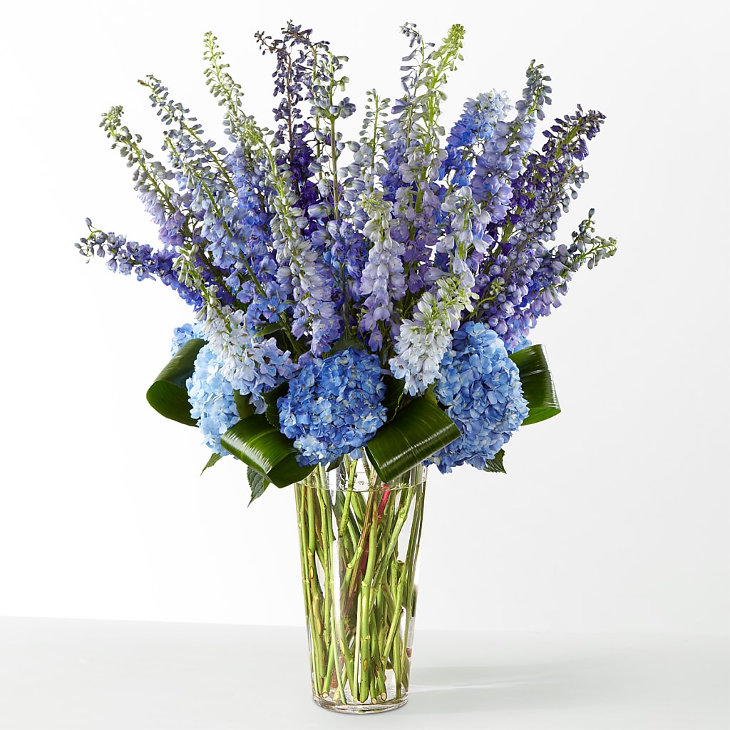 The Editorial – VACHA'S FOREST FLOWERS, Oak Forest IL