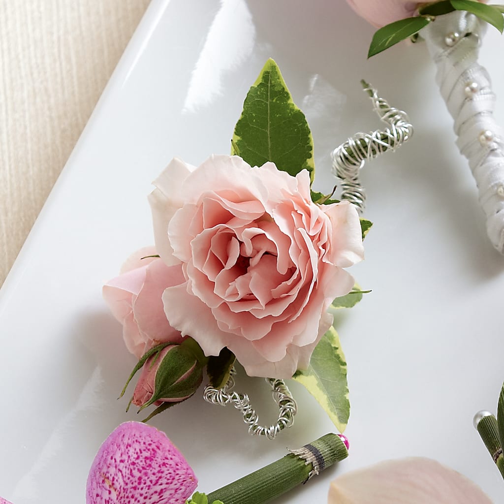 Pink Spray Rose Boutonniere – VACHA'S FOREST FLOWERS, Oak Forest IL