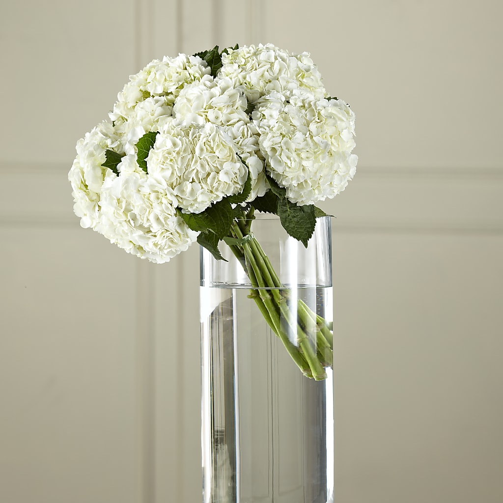 White Hydrangea Hand-Tied Bouquet – VACHA'S FOREST FLOWERS, Oak Forest IL