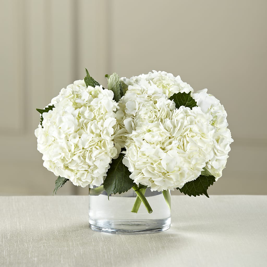 White Hydrangea Bouquet – VACHA'S FOREST FLOWERS, Oak Forest IL