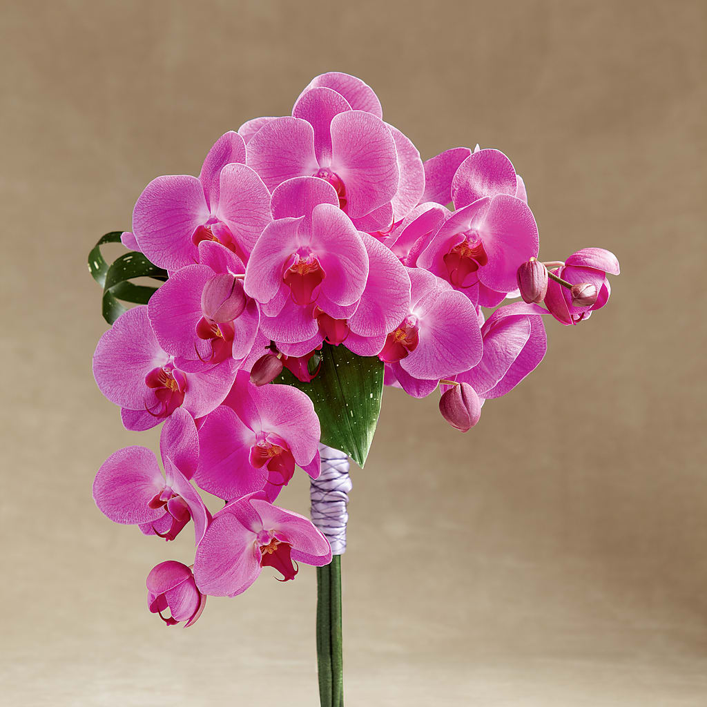 Glorious Bouquet – VACHA'S FOREST FLOWERS, Oak Forest IL