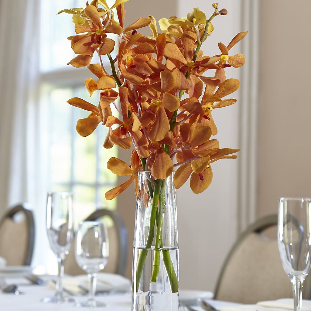 Orange Mokara Bud Vase – VACHA'S FOREST FLOWERS, Oak Forest IL
