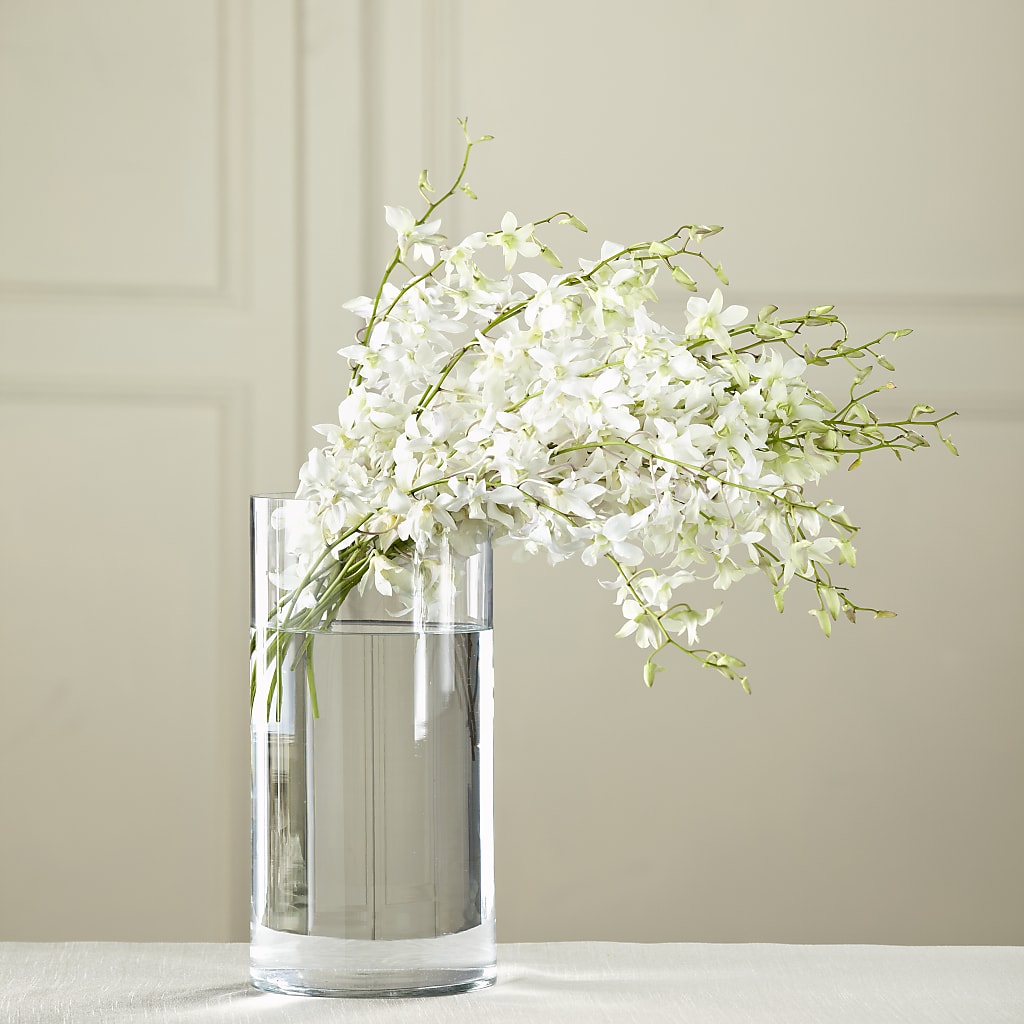 White Dendrobium Bouquet – VACHA'S FOREST FLOWERS, Oak Forest IL