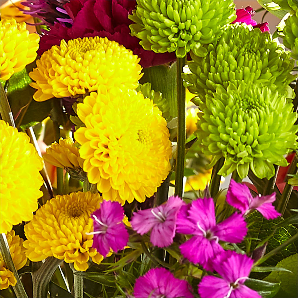 Bold & Bright – A Florist Original – VACHA'S FOREST FLOWERS, Oak Forest IL