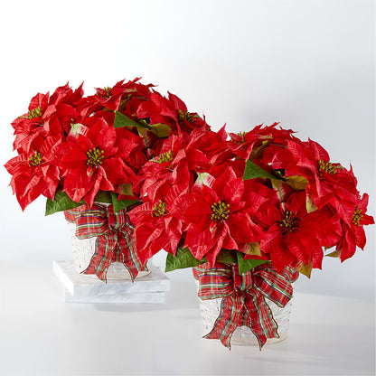 Happiest Holidays Poinsettia Bundle – VACHA'S FOREST FLOWERS, Oak Forest IL