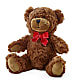 Adorable Plush Bear – VACHA'S FOREST FLOWERS, Oak Forest IL