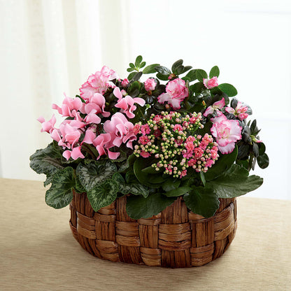 Pink Assortment – VACHA'S FOREST FLOWERS, Oak Forest IL
