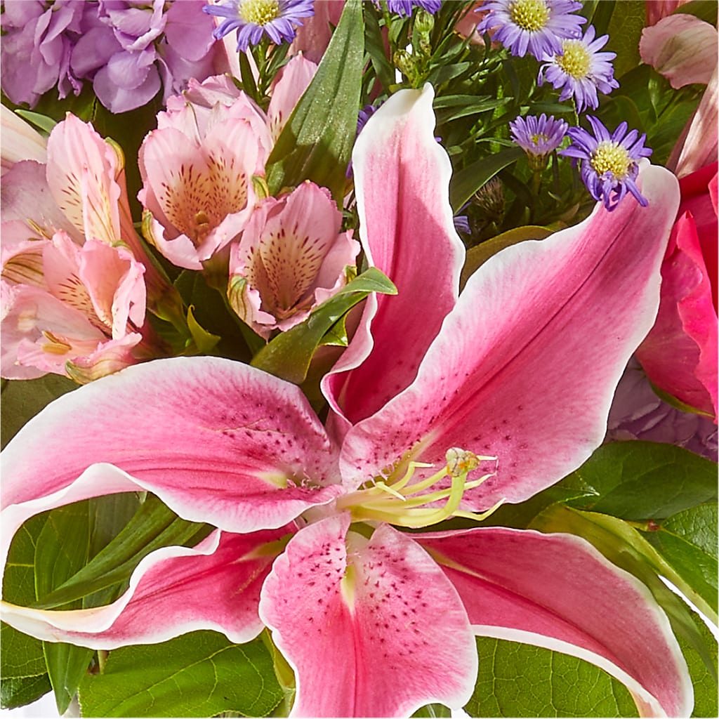 Written in the Stars Bouquet – VACHA'S FOREST FLOWERS, Oak Forest IL