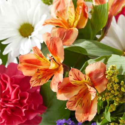 Oopsie Daisy Box Bouquet – VACHA'S FOREST FLOWERS, Oak Forest IL