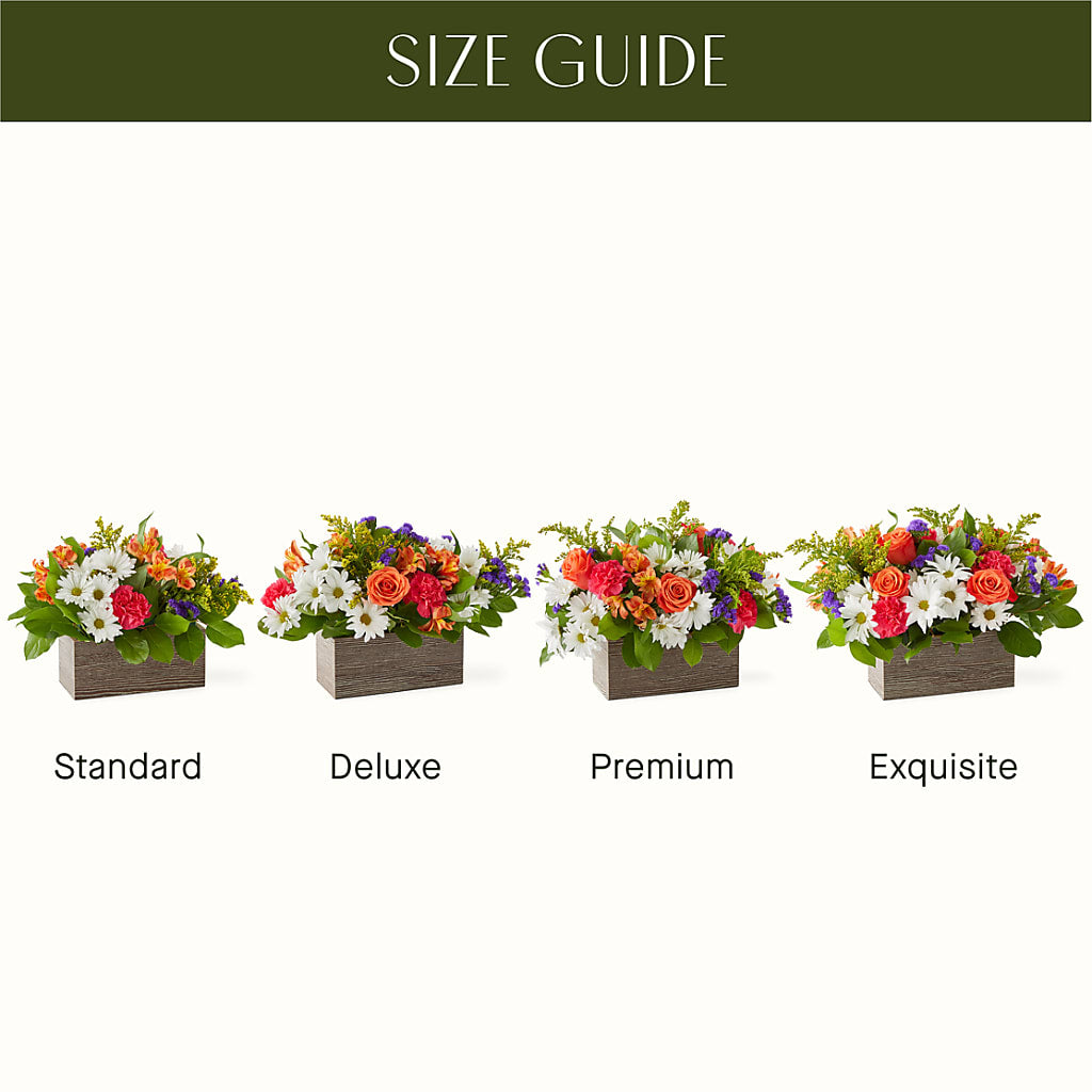 Oopsie Daisy Box Bouquet – VACHA'S FOREST FLOWERS, Oak Forest IL