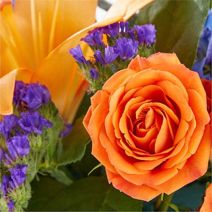 Radiant Citrus Box Bouquet – VACHA'S FOREST FLOWERS, Oak Forest IL