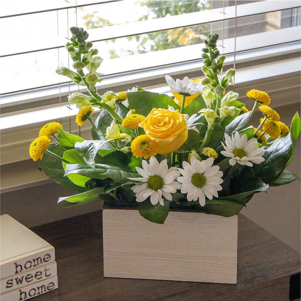 Sun Salutation Box Bouquet – VACHA'S FOREST FLOWERS, Oak Forest IL