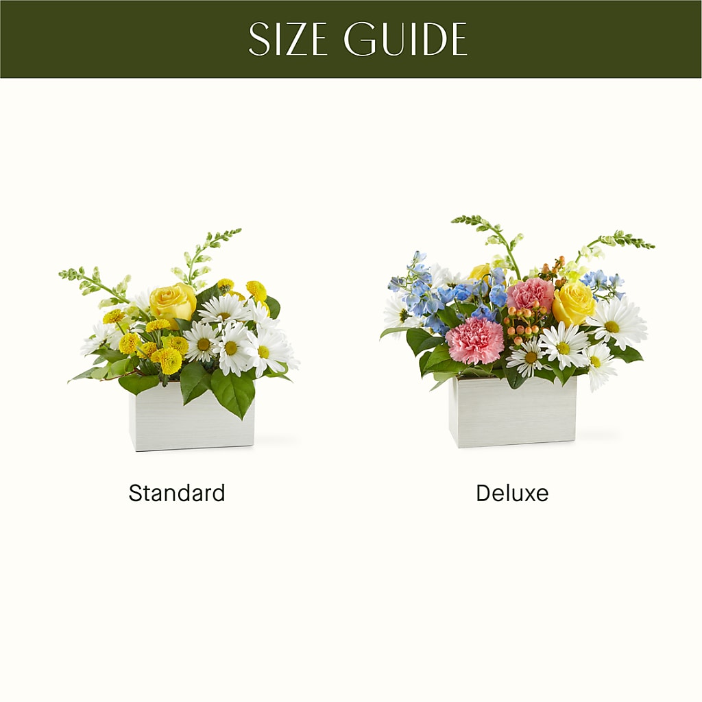 Sun Salutation Box Bouquet – VACHA'S FOREST FLOWERS, Oak Forest IL