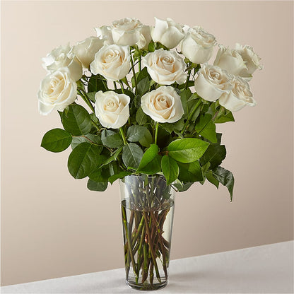 Long Stem White Rose Bouquet – VACHA'S FOREST FLOWERS, Oak Forest IL