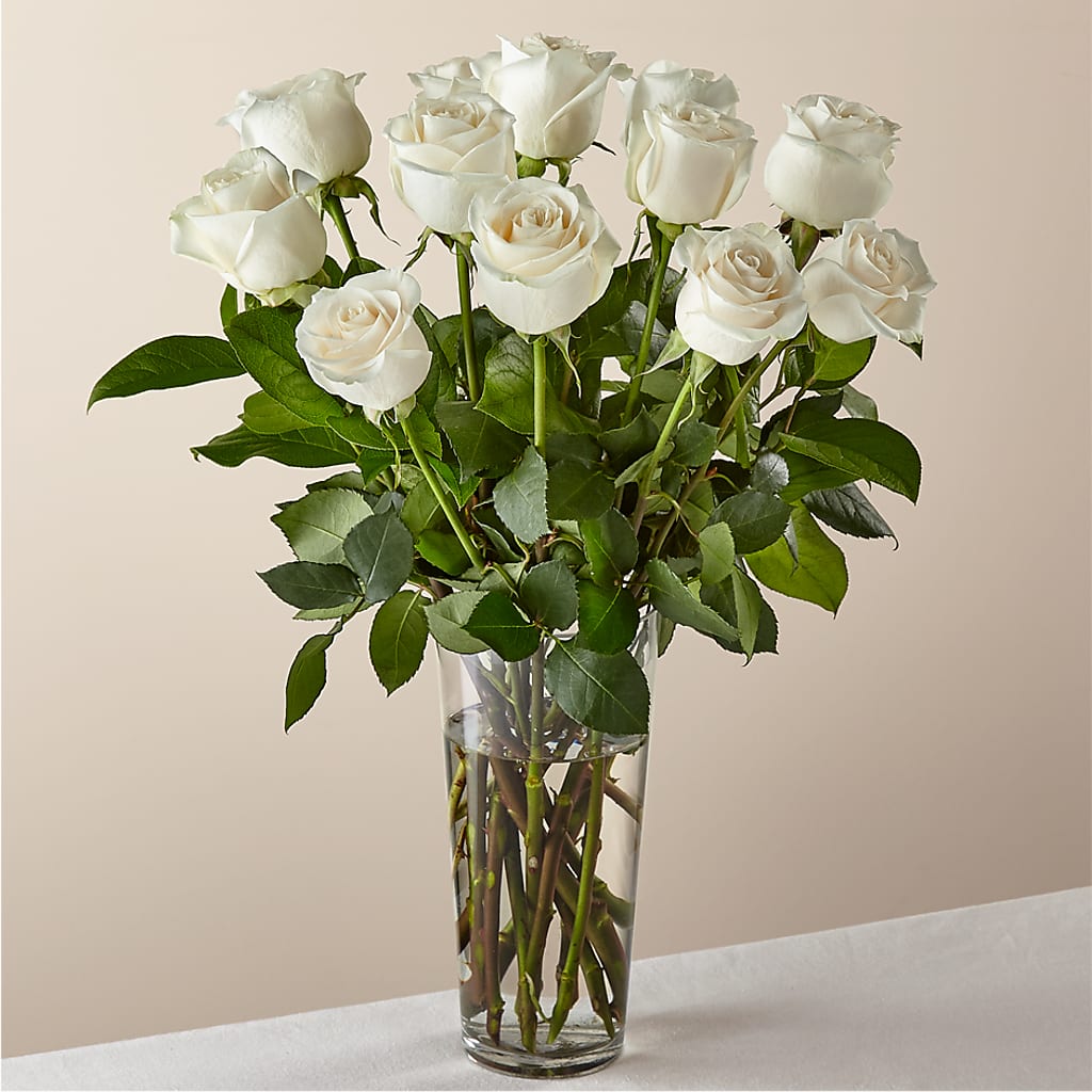 Long Stem White Rose Bouquet – VACHA'S FOREST FLOWERS, Oak Forest IL