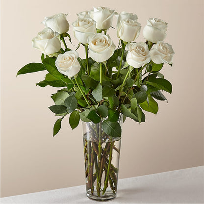 Long Stem White Rose Bouquet – VACHA'S FOREST FLOWERS, Oak Forest IL