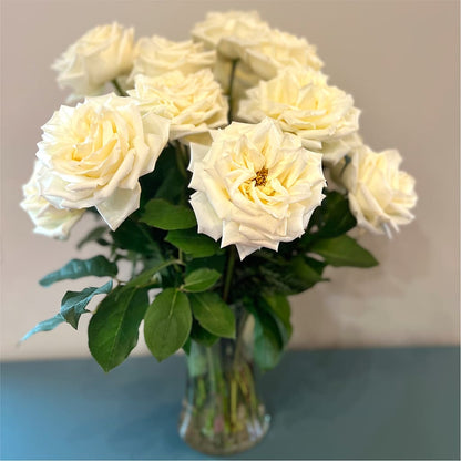 Long Stem Yellow Rose Bouquet – VACHA'S FOREST FLOWERS, Oak Forest IL