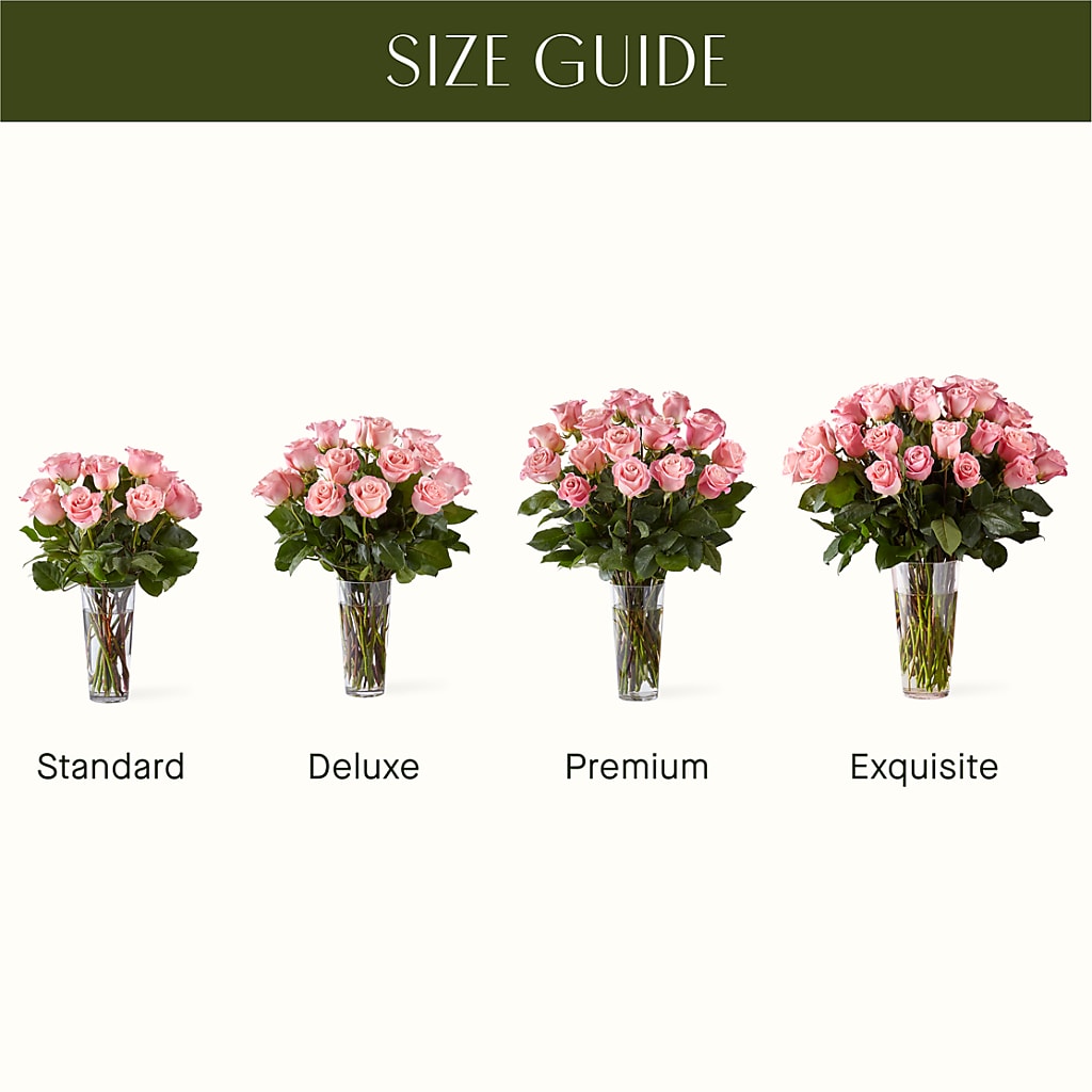 Long Stem Pink Rose Bouquet – VACHA'S FOREST FLOWERS, Oak Forest IL