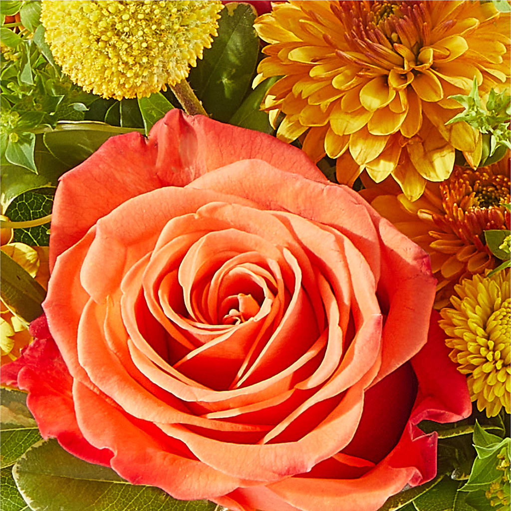 Gourdgeous Pumpkin – VACHA'S FOREST FLOWERS, Oak Forest IL