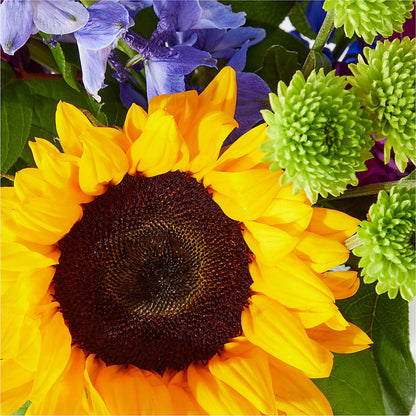 Catching Rays Bouquet – VACHA'S FOREST FLOWERS, Oak Forest IL