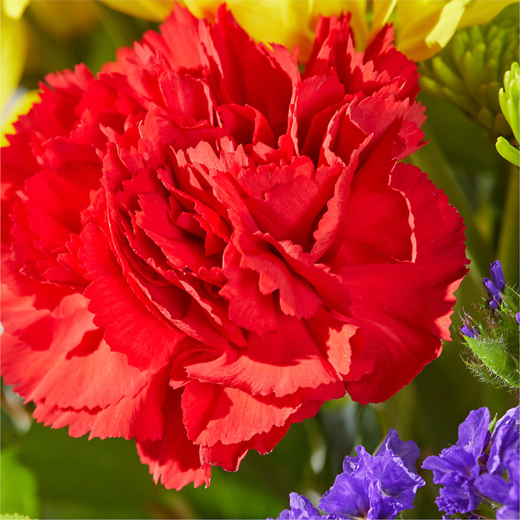 Brighter Days Bouquet – VACHA'S FOREST FLOWERS, Oak Forest IL