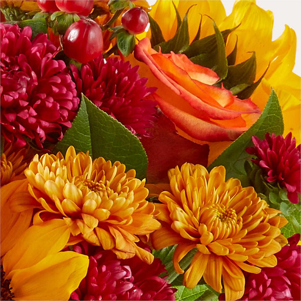 Sweater Season - A Florist Original – VACHA'S FOREST FLOWERS, Oak Forest IL