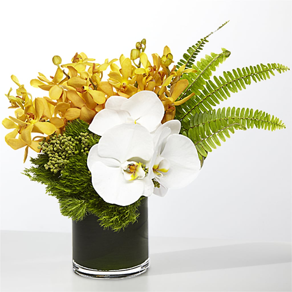 The Tropics – VACHA'S FOREST FLOWERS, Oak Forest IL