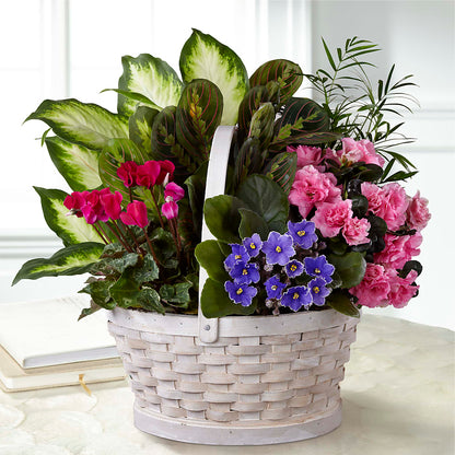 Peaceful Garden Planter – VACHA'S FOREST FLOWERS, Oak Forest IL