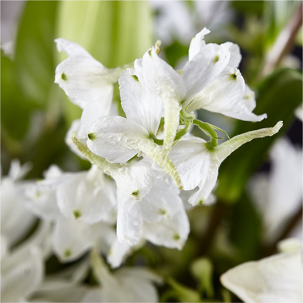 Classic Ivory – A Florist Original – VACHA'S FOREST FLOWERS, Oak Forest IL