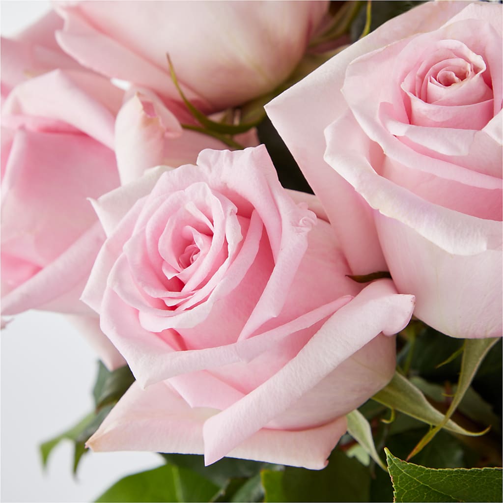 Picture Perfect Pink Rose Bouquet – VACHA'S FOREST FLOWERS, Oak Forest IL