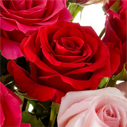 Love Notes Rose Bouquet – VACHA'S FOREST FLOWERS, Oak Forest IL
