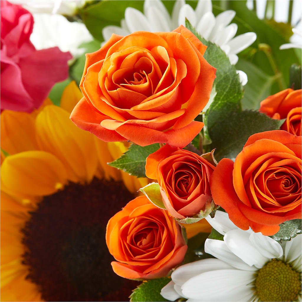 Sun-drenched Blooms Bouquet – VACHA'S FOREST FLOWERS, Oak Forest IL