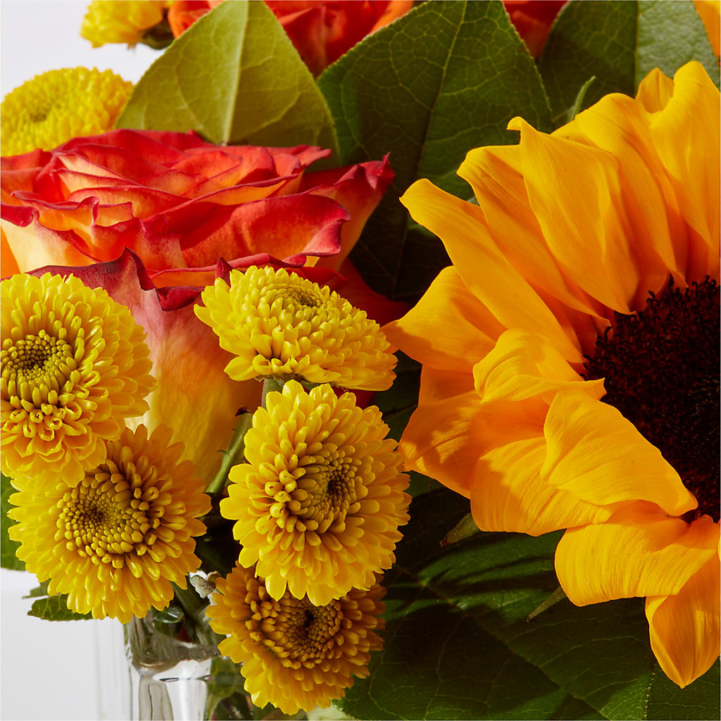 Picnic in the Park Bouquet – VACHA'S FOREST FLOWERS, Oak Forest IL