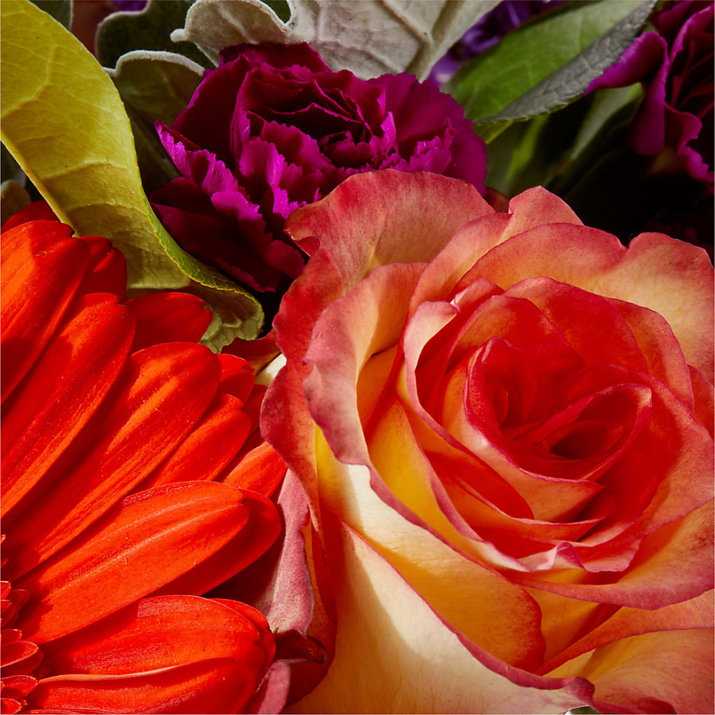 Sangria Bouquet – VACHA'S FOREST FLOWERS, Oak Forest IL