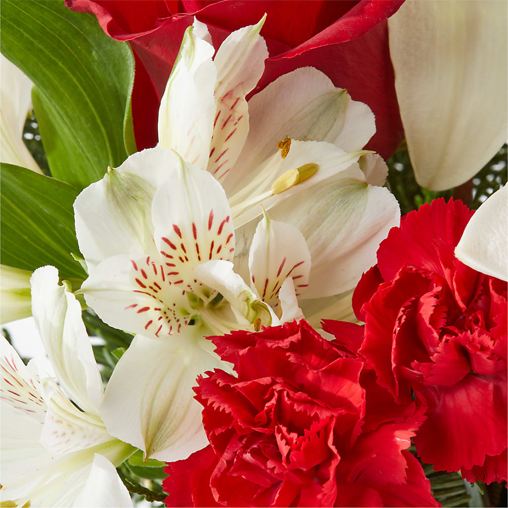 Holiday Season Bouquet – VACHA'S FOREST FLOWERS, Oak Forest IL